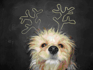 jasper_reindeer