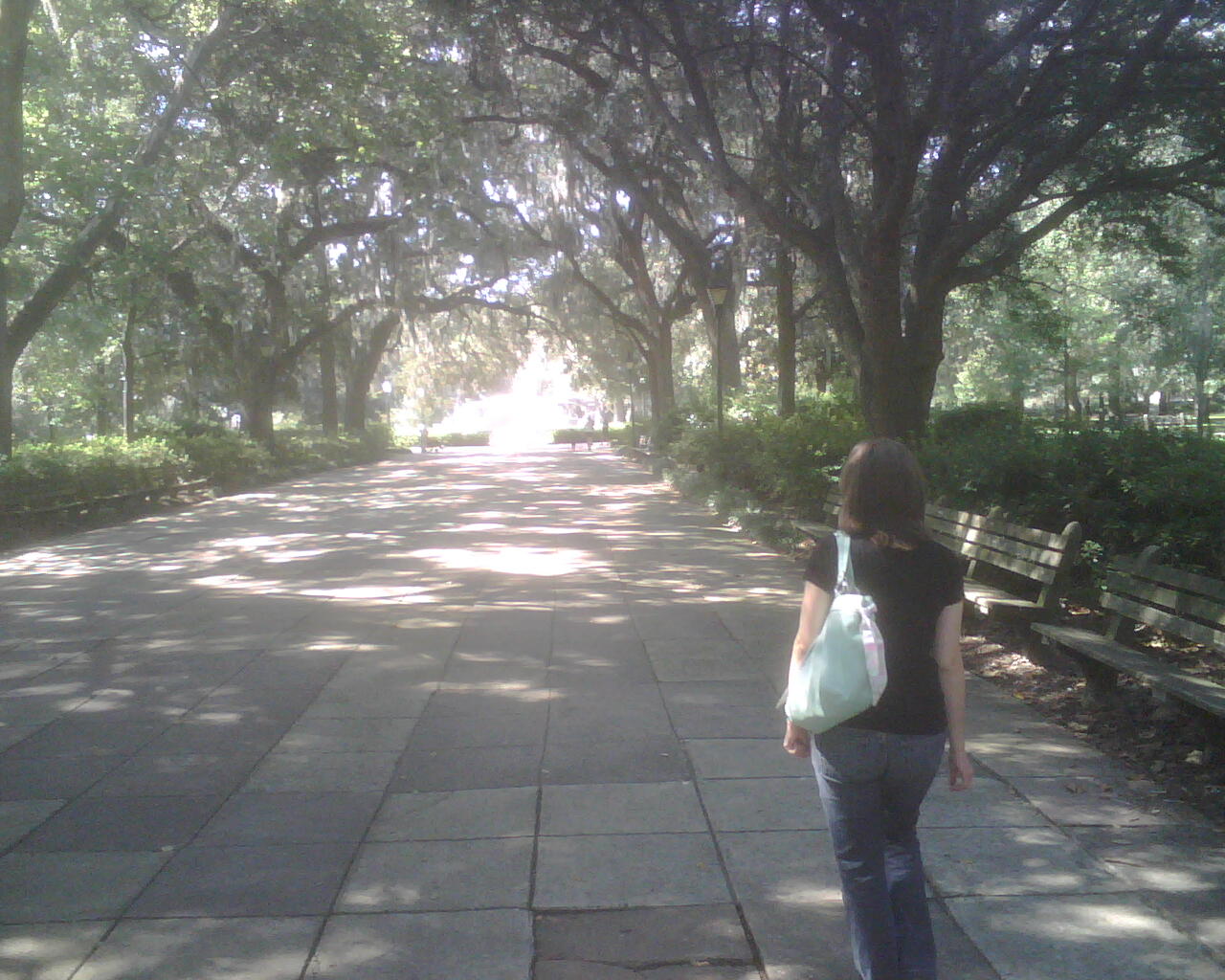 IMG00411-savannah_square_w_amy IMG00411-savannah_square_w_amy
