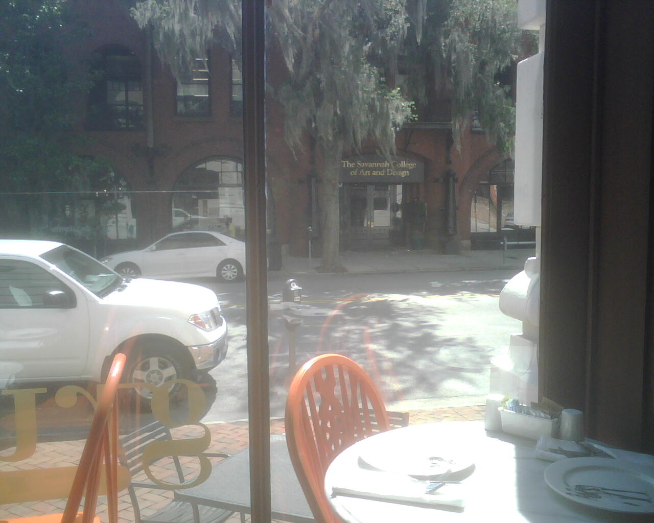 IMG00415-savannah_griffon IMG00415-savannah_griffon